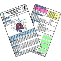 Hawelka Beatmung basics - Anatomie & Physiologie der Atmung