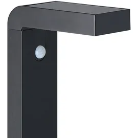 EGLO LED-Solar-Spieß Baracconi mit Sensor 80 cm x 20 cm