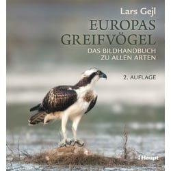 Europas Greifvögel