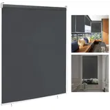 LARS360 Außenrollo Balkon Außenrollo Senkrechtmarkise Rollo Beschattung Balkonrollo Sichtschutzrollo Außensonnenschutz Sonnenschutz UV-Schutz (140 x 240 cm, Anthrazit)
