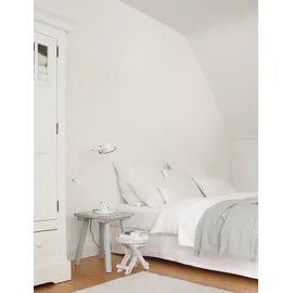 Alpina Alpinaweiß Das Original 1 l matt