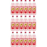 Schweppes Russian Wild Berry 18er Set 18x 1L inkl. Pfand MEHRWEG