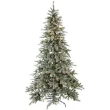 XXXLutz Evergreen Weihnachtsbaum Fichte Frost 180 cm