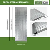 Baumarktplus TRUTZHOLM Auffahrrampe leichte Ausführung 200 cm Traglast 270kg Alu grau profiliert Verladerampe