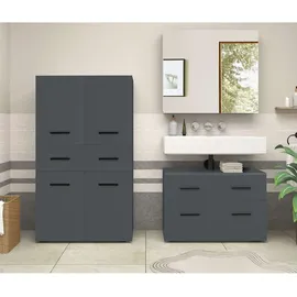 INOSIGN Midischrank »Skara« mit zwei variablen Einlegeböden grau