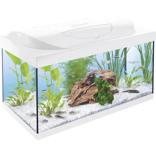 Tetra Aquarium Starter Line LED 54 L weiß