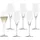Stölzle Quatrophil Champagnerglas 0,29 l 6 St.