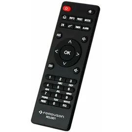 Ferguson Regent i351s Internet Digital (SCHWARZ) - Schwarz