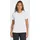 adidas TERREX MOUNTAIN GRAFIK T-SHIRT - White