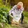 Relaxdays Kniebank für Gartenarbeit klappbar