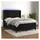 vidaXL Boxspringbett mit Matratze & LED Schwarz 140x200 cm Samt