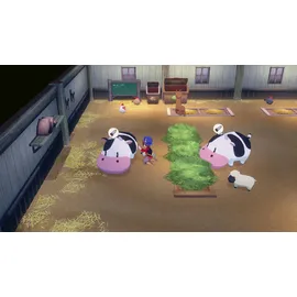 Story of Seasons: Grand Bazaar - Limited Edition (USK) (Nintendo Switch)