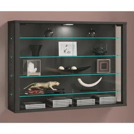 VCM Wandvitrine Vitrosa L 83 x 18 x 60 cm Grau