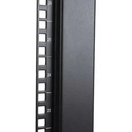 Startech StarTech.com 42HE 4 Post Rack - Black