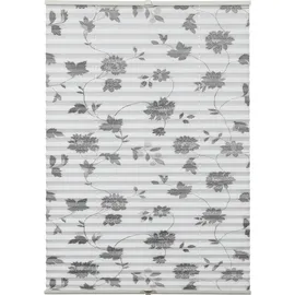 GARDINIA Plissee Concept Flowers and Plants 60 x 130 cm blüte dekor/weiß