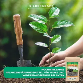 Silberkraft Biostäbchen Aktiv 50 g 1 St.