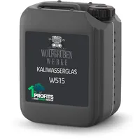 WO-WE Kaliwasserglas Haftgrund Bindemittel Versiegelung Wasserglas Mauerabdichtung W515 10 l