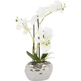 Kunstpflanze Orchidee Orchidee, Leonique, Höhe 55 cm, Kunstorchidee, im Topf, Bestseller, über 2500 4,5-Sterne-Bewertungen silberfarben|weiß 20 cm x 55 cm x 11 cm