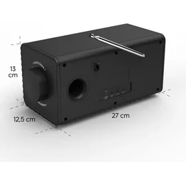 Hama Digitalradio DR1001BT FM/DAB/DAB+/Bluetooth RX Schwarz