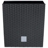 Prosperplast Rato Low 40 x 40 x 40,8 cm anthrazit
