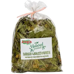 ALEGIA Lanzettenkuchen 100g