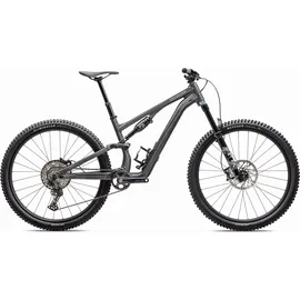 Specialized Stumpjumper 2025 29 Zoll RH 54 cm Unisex Gloss Smoke / Cool Grey
