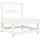 vidaXL Garten-Mittelsofa Holz Kiefer weiß