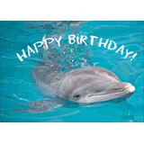 Happy Birthday - die Tier Foto Klappkarte mit Delfin • auch zum direkt Versenden mit ihrem Text als Einleger. • hübsche hochwertige Grusskarte mit Umschlag zu vielen Anlässen