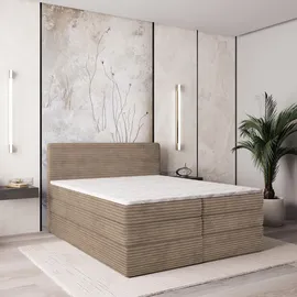 masseno LUNERA 180 x 200 cm H2 Beige
