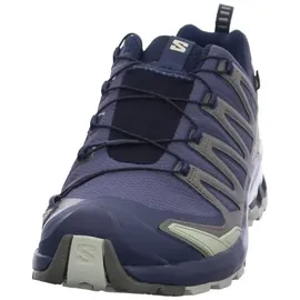 Salomon Herren Xa Pro 3D V9 GTX Schuhe (Größe 43