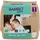 Abena Bambo Nature Gr. 1 (2-4 kg) 22 St.