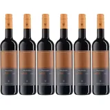 6x Dornfelder trocken, 2022 - Winzervereinigung Freyburg-Unstrut, Saale-Unstrut...