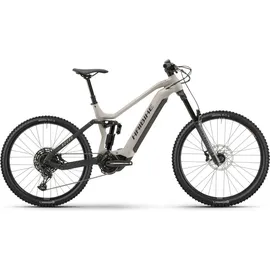 Haibike Nduro 6 2025 29 Zoll RH 44 cm urban grey/blk