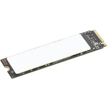 Lenovo ThinkPad 1 TB M.2