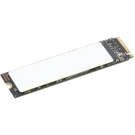 Lenovo ThinkPad 1 TB M.2