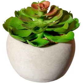 Creativ green Künstliche Zimmerpflanze CREATIV GREEN "Sukkulenten", grün, H:9cm Ø:7cm, Kunststoff, Kunstpflanzen, Künstliche Zimmerpflanze, Deko-Pflanze im Zementtopf, 6er Set