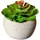 Creativ green Künstliche Zimmerpflanze CREATIV GREEN "Sukkulenten", grün, H:9cm Ø:7cm, Kunststoff, Kunstpflanzen, Künstliche Zimmerpflanze, Deko-Pflanze im Zementtopf, 6er Set