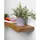 moon tree Wandregal 70 x 22 x 3,8 cm Dunkle Eichenoptik