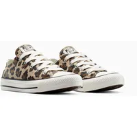 Converse Chuck TAYLOR ALL Star (GS) Unisex beige Größe 38.5 Schuhe