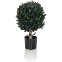 HJH Office Kunstpflanze BUXUS 65 cm Grün