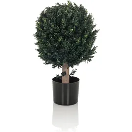 HJH Office Kunstpflanze BUXUS 65 cm Grün