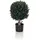 HJH Office Kunstpflanze BUXUS 65 cm Grün