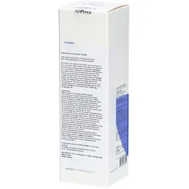 Isntree Hyaluronic Acid Moist Cream 100 ml