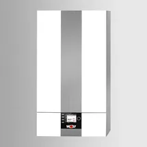 WOLF-Garten CGB-2-20 20 kW