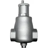 WOLF-Garten Wolf Mikroblasenabscheider 1 1/4'' bis 3,5 m3/h