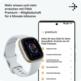 Fitbit Sense 2 softgold/nebelblau