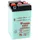 YUASA B49-6-dc Agm-batterie - Mulicolor - One Size
