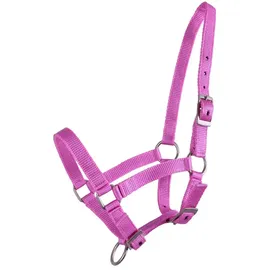 QHP Fohlen-Halfter 04 babyblau