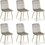 Homestyle4u Esszimmerstuhl 6er Set Beige/Gold