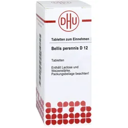 Bellis Perennis D 12